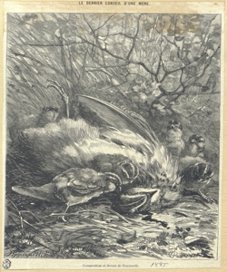 uccello con pulcini Rouget