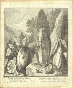 scoiattolo e frutti Wangner, Jakob