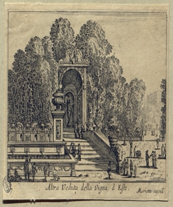 veduta della vigna d'Este Silvestre, Israel