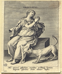 Tribolazione Anonimo nordico