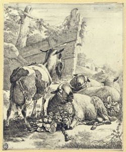 pecore e capra Roos, Johann Heinrich