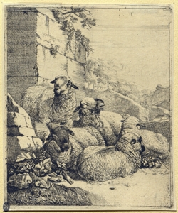 pecore e rovine Roos, Johann Heinrich