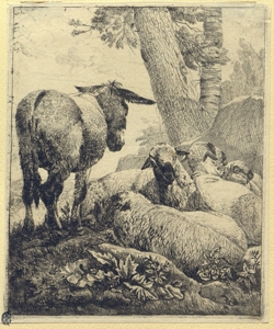 pecore e asino Roos, Johann Heinrich