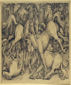sette cavalli in una foresta Baldung, Hans detto Baldung Grien