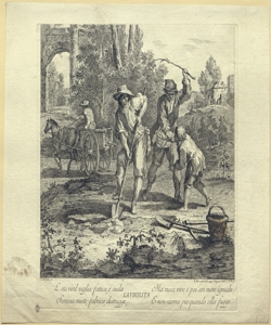 allegoria della maturit¿ Berardi, Fabio