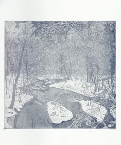 bosco innevato con fiume Galli, Federica