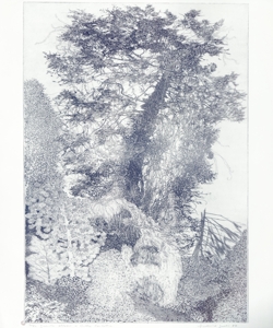 alberi del parco di Villa Carlotta in provincia di Como Galli, Federica