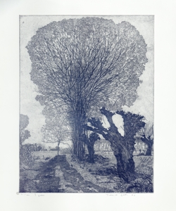 paesaggio con alberi e sentiero Galli, Federica