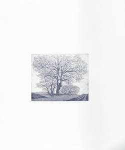 paesaggio con alberi Galli, Federica