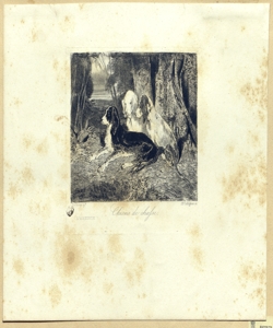 Cani da caccia Collignon, Jules Fran¿ois