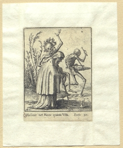 Vanitas Hollar, Wenzel