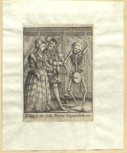 Vanitas Hollar, Wenzel