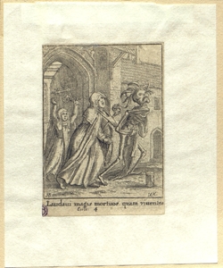 Vanitas Hollar, Wenzel