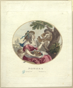 Pomona Vendramini, Giovanni