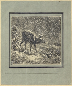 Paesaggio innevato con renna Bodmer, Karl