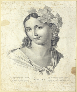 Pomona Biasioli, Angelo