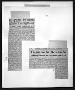 CENTO VARIETÀ DA TUTTA EUROPA  - Triennale floreale crisantemo internazionale, sta in CORRIERE LOMBARDO - quotidiano