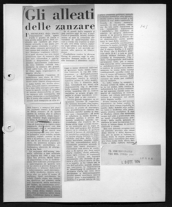 Gli alleati delle zanzare, sta in IL CONTEMPORANEO - periodico