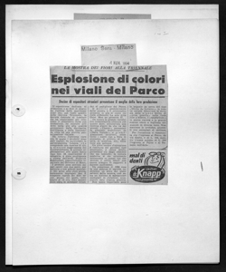 LA MOSTRA DEI FIORI ALLA TRIENNALE - Espolsione di colori nei viali del Parco - Decine di espositori stranieri presentano il meglio della loro produzione, sta in MILANO SERA - quotidiano