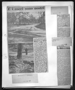 Le Mostre di Sidney, sta in L'ARTIGIANATO D'ITALIA - quotidiano