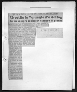 NEL 1954 IL COMUNE HA SPESO PER IL VERDE CITTADINO 222 MILIONI - Rivestita la 