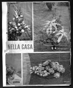 NELLA CASA - I FIORI, sta in GIOIA - periodico