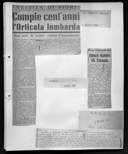 Presente l'ambasciatore Boon - Giornata olandese alla Triennale, sta in CORRIERE LOMBARDO - quotidiano