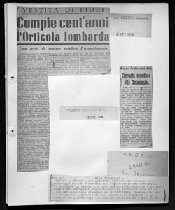 VESTITA DI FIORI - Compie cent'anni l'Orticola lombarda - Una serie di mostre celebra l'avvenimento, sta in LA NOTTE - quotidiano