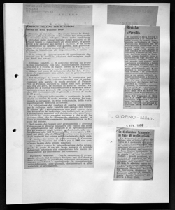 COMITATO ITALIANO PER IL COTONE - Attività del terzo trimestre 1959, sta in NOTIZIARIO DELL'ASSOCIAZIONE COTONIERA ITALIANA - quotidiano