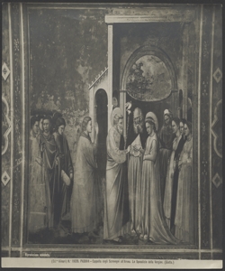 Affresco - Lo sposalizio della Vergine - Giotto - Padova -Cappella degli Scrovegni