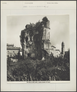 Avenza - Castello di Castruccio - resti della torre circolare invasi dalla vegetazione