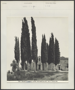 Cellole - Pieve di Santa Maria Assunta - Facciata