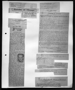 Braunschweiger Zeitung, sta in DER AUSSCHNITT - quotidiano