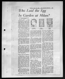 Who Laid the Egg in Garden at Milan?, sta in THE MIAMI HERALD - quotidiano