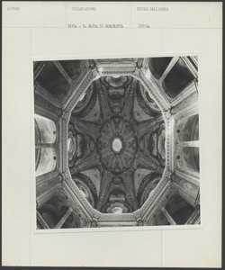 Pavia - Chiesa di santa Maria di Canepanova - Interno - Cupola