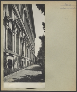 Pavia - Collegio Borromeo