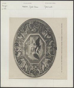 Modena - Galleria Estense - Ganimede - Correggio - Decorazione - Orsi