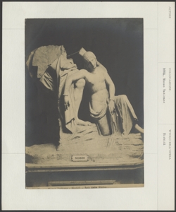 Roma - Museo Vaticano - Statua - Niobidi