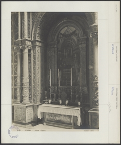 Verona - S. Anastasia - Altare Centrego - Sacra Conversazione - Girolamo dai Libri