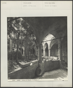 Assisi - Chiesa San Francesco - Chiostro