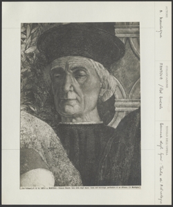 Mantova - Palazzo Ducale - Andrea Mantegna - Testa - Affresco
