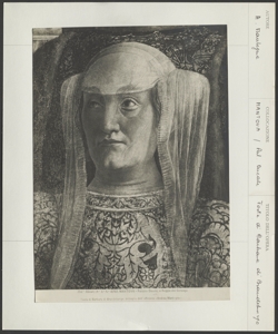 Mantova - Palazzo Ducale - Testa Barbara Brandeburgo - Andrea Mantegna