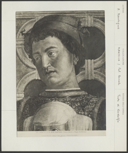 Mantova - Palazzo Ducale - Testa Rodolfoo - Andrea Mantegna