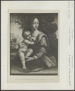 Milano - Pinacoteca Brera - La Madonna col Bambino Gesù - Cesare da Sesto - Dipinto