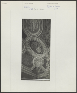 Verona - Palazzo Bocca Tressa - Soffitto