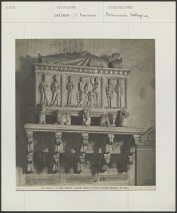 Sarzana - S. Francesco - Monumento Malaspina