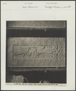 Pavia - Museo Civico - Sarcofago di Teodota - Pannello