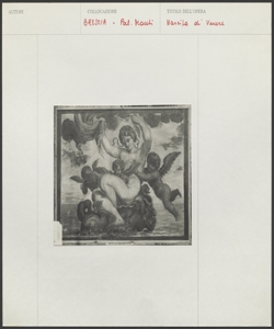 Brescia - Palazzo Monti - Nascita di Venere
