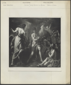 Belluno - Palazzo Bertoldi ex Fulcis - Ricci Sebastiano - Ercole al bivio