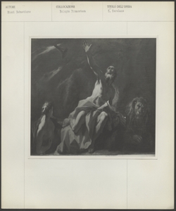 Bologna - Pinacoteca - Ricci Sebastiano - S. erolamo